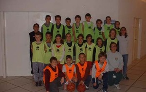 545f6dd827027_poussins.jpg