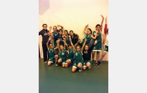 BASKET BRAX - U11F