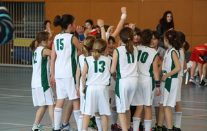 U11F - BASKET BRAX