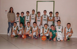 BRAX - U11G